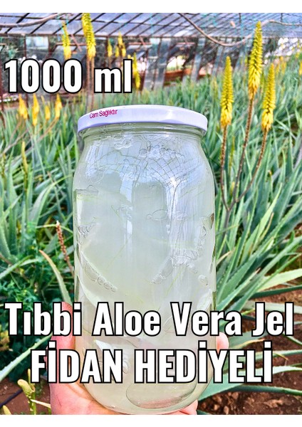 aloe vera jel, 330 cc, doğal alovera jel, cam kavanozda, fidan hediyeli