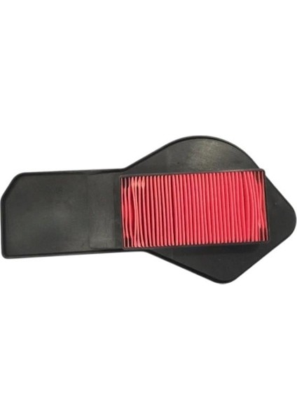 Hava Filtresi Yamaha Cygnus L 100