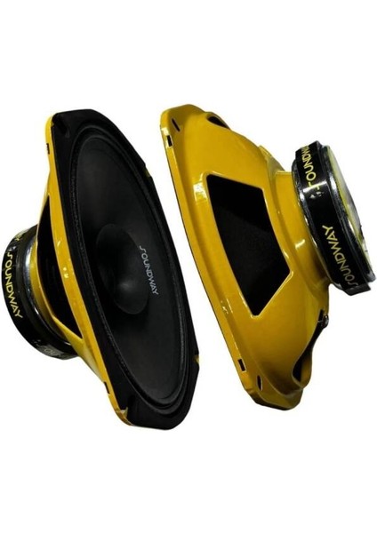 SW-3655 800 Waat Oval Midrange Hoparlör