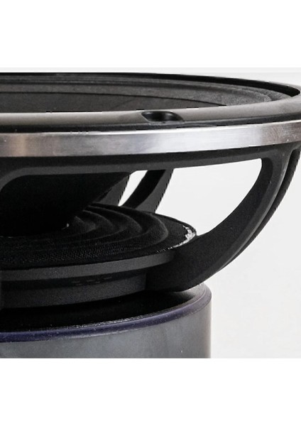 Arnold AP-M81AC 20CM 600W 300RMS Spl Midrange Profeyonel Midrange Iki Adet