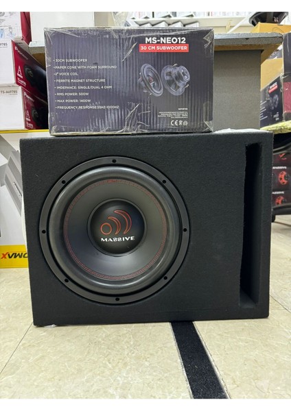 30CM Özel Spl Kabinli Subwoofer Cift Bobin Bass 1400WAT 500RMS