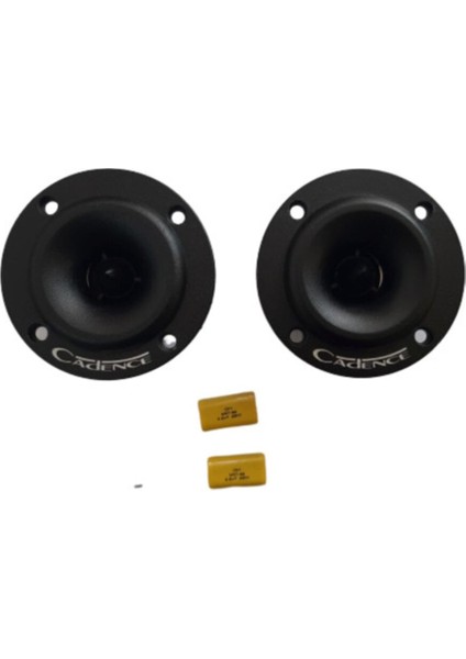 ZRS-60T Profesyonel Tweeter(Tiz) 2 Adet