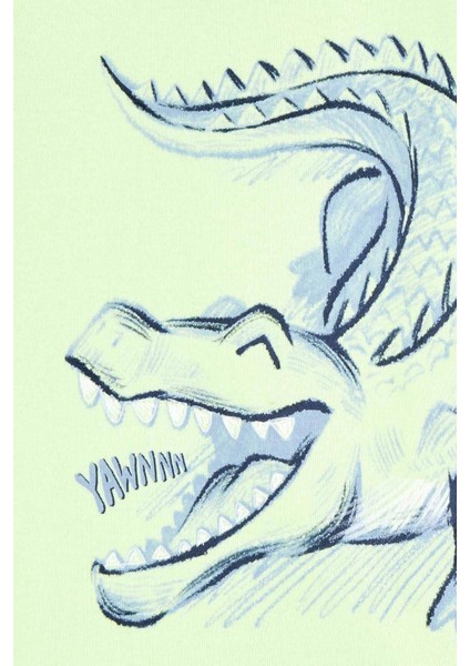 Carter's Küçük Erkek Çocuk Pijama Set 4'lü Paket 2S380510 fiyatları