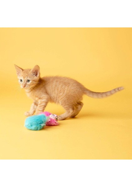 Fluff Bunnies Kedi Otlu Oyuncak modelleri