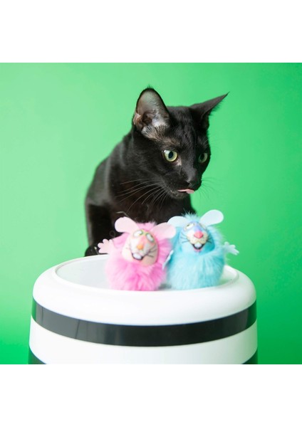 Fluff Bunnies Kedi Otlu Oyuncak fırsatları