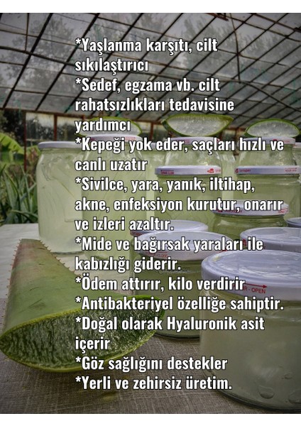 aloe vera jel, doğal alovera jel, 210 ml cam kavanozda, aloe vera fidan hediyeli