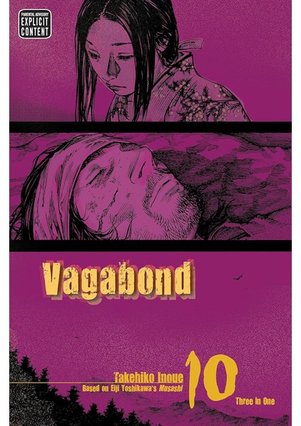 Vagabond Vizbig Edition, Vol. 10