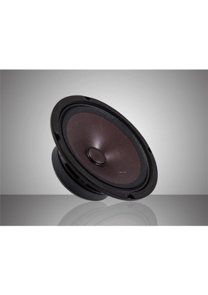 Xmd-6 16 cm Midrange 160W 80RMS 1 Takım 2 Adet fiyatları