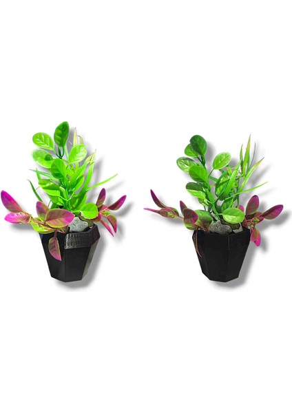 Lüx Akvaryum Yapay Bitkisi Saksılı Dip Taşlı 2 Adet 14 cm (Siyah)
