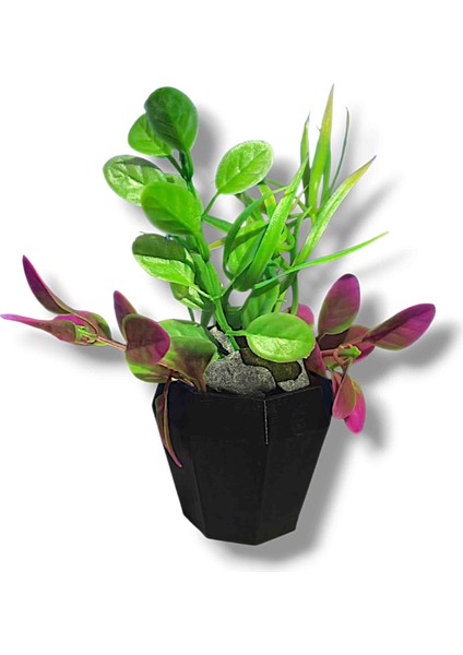 Lüx Akvaryum Yapay Bitkisi Saksılı Dip Taşlı 2 Adet 14 cm (Siyah) modelleri