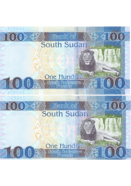 2019 Sudan 100 Pounds Yabancı Kağıt Para Çil 2 Adet Seri Takipli / 320