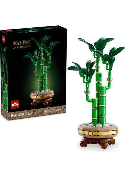 Botanicals Şans Bambusu 10344 - Yetişkin Kadın ve Erkekler Için Bambu Sapları, Çakıl Taşları ve Ahşap Efektli Saksı Içeren Dekoratif Bitki Seti, Ev ve Ofis Dekorasyonu Hediye Fikri (325 Parça)