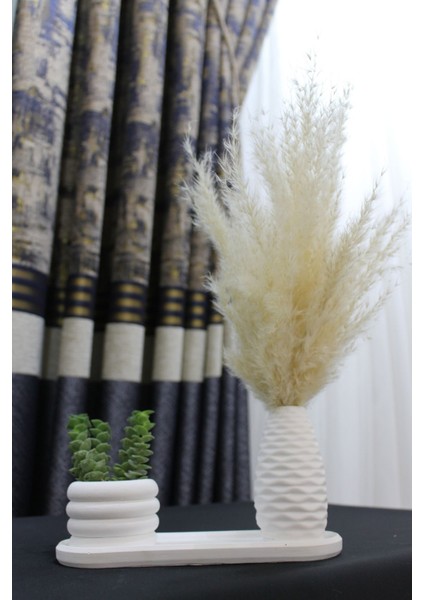 Modern Beyaz Beton Pampas Vazosu Seti