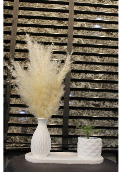 Modern Beyaz Beton Pampas Vazosu Seti