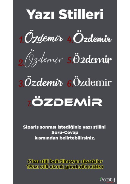 20CM Midrange Kapağı Kişiye Özel Yazılı Dayanıklı Pleksi Midrange Kapağı Parlak Gümüş