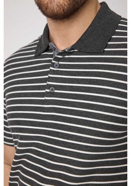 Violes Erkek Antrasit Çizgili Slim Fit %100 Pamuk Polo Yaka Tişört fiyatları