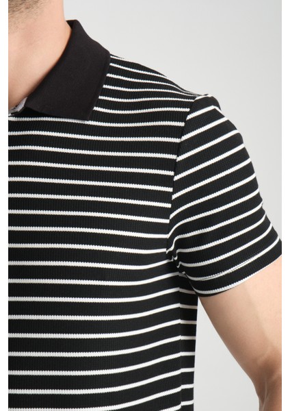 Violes Erkek Siyah Çizgili Slim Fit %100 Pamuk Polo Yaka Tişört fiyatları