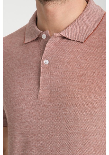 Boggee Pedso Erkek Bordo Italyan Yaka Çekmez Likralı %100 Pamuklu Kumaş Slim Fit Polo Yaka Tişört fiyatları