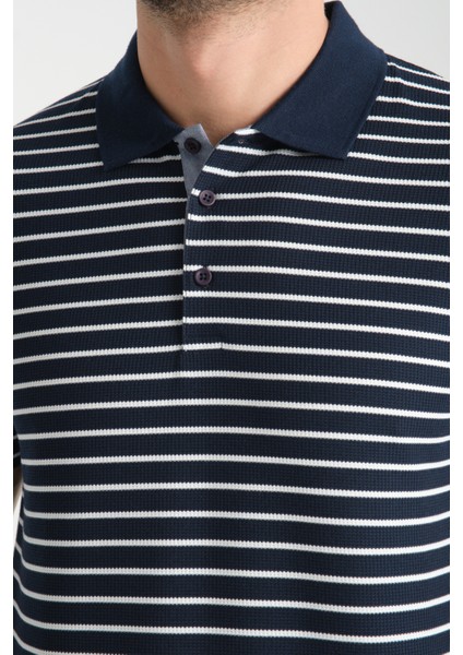 Violes Erkek Lacivert Çizgili Slim Fit %100 Pamuk Polo Yaka Tişört fiyatları