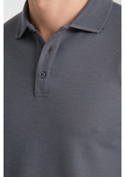 Walfer Erkek Antrasit %100 Pamuk Waffle Çekmeyen Kumaş Slim Fit Kıvrılmaz Yaka Polo Yaka Tişört fiyatları