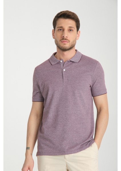 Boggee Pedso Erkek Mürdüm Italyan Yaka Çekmez Likralı %100 Pamuklu Kumaş Slim Fit Polo Yaka Tişört