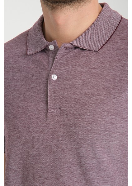 Boggee Pedso Erkek Mürdüm Italyan Yaka Çekmez Likralı %100 Pamuklu Kumaş Slim Fit Polo Yaka Tişört fiyatları