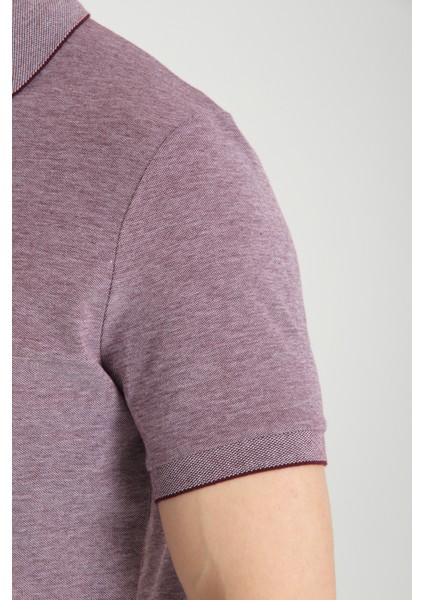 Boggee Pedso Erkek Mürdüm Italyan Yaka Çekmez Likralı %100 Pamuklu Kumaş Slim Fit Polo Yaka Tişört fırsatları