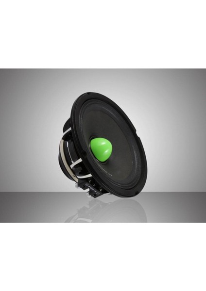 XMD-1716 16CM Neodium Midrange (Hulk Serisi)