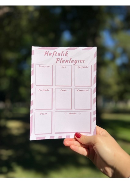 A5 Zebra Desenli Haftalık Planlayıcı - Notepad - Not Defteri - Bloknot