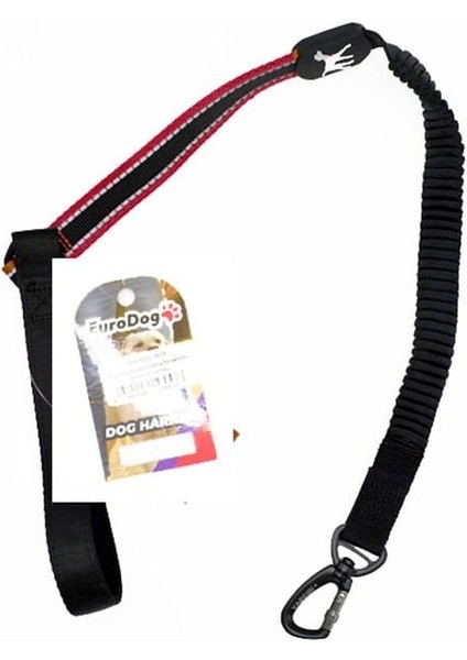 Euro Dog Lastikli Köpek Uzatma Tasması Kırmızı 25 mm 120 cm