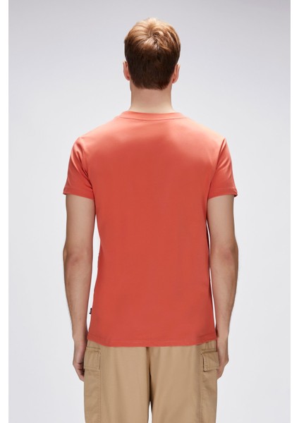 25,01,07,039 Judson Bad Bear T-Shirt