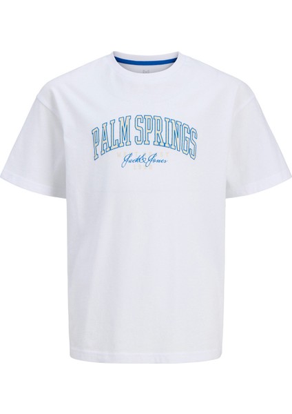 Jjdetroıt Tee Ss Crew Beyaz Erkek Çocuk Kısa Kol T-Shirt fiyatları