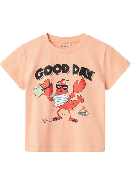 Nmmfısh Nreg Ss Top Box Pembe Erkek Çocuk Kısa Kol T-Shirt