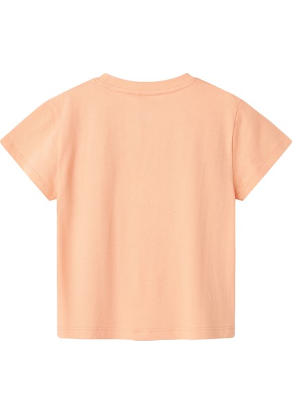 Nmmfısh Nreg Ss Top Box Pembe Erkek Çocuk Kısa Kol T-Shirt