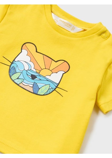 Erkek Bebek Şort Tişört Set 1224 modelleri