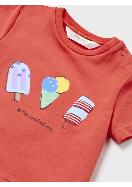 Erkek Bebek Şort Tişört Set 1224 modelleri