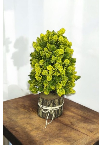 Yapay Çiçek Bonsai Ağacı Sarı Kozalaklı Kütük Saksıda Dekoratif Yapay Ağaç Bonzai 30*15 cm