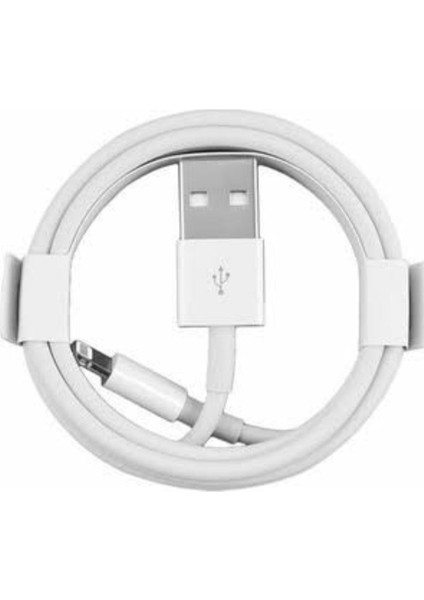 Apple Iphone Usb-Lightning Kablo 1 Metre 5-5s-5se/6-6plus-6s-6s Plus-7-7 Plus/x/xs Max
