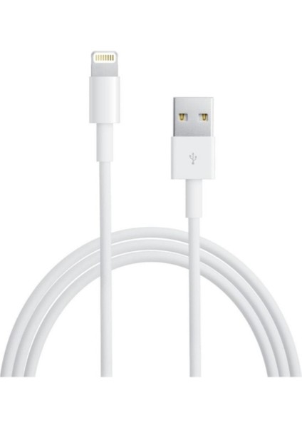 Apple Iphone Usb-Lightning Kablo 1 Metre 5-5s-5se/6-6plus-6s-6s Plus-7-7 Plus/x/xs Max