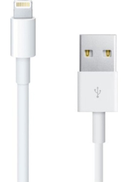 Apple Iphone Usb-Lightning Kablo 1 Metre 5-5s-5se/6-6plus-6s-6s Plus-7-7 Plus/x/xs Max