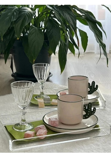 Şeffaf Pleksi Tepsi, Servis Sunum Tepsisi - Organizer Tepsi, 2 Adet, 26X19 cm