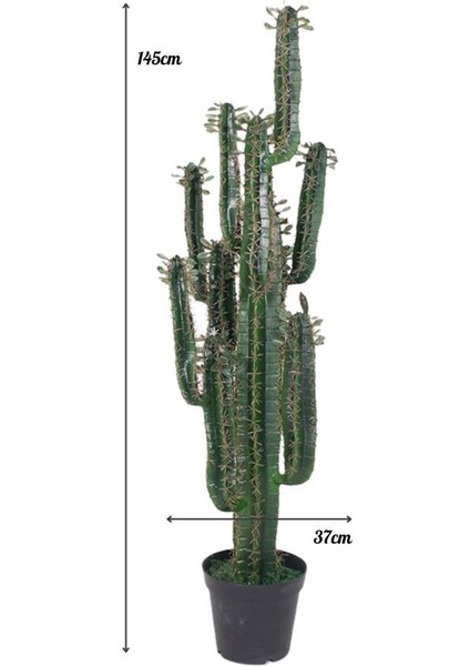 Yapay Çiçek Kaktüs Ağacı Siyah Saksıda 145*37 cm 10 Kollu fiyatları