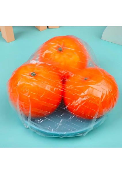 Lastikli Tencere ve Tabak Bonesi 100 Adet (20CM)