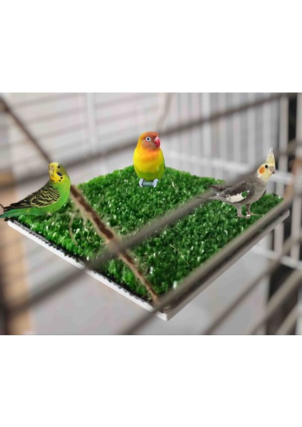 Hasırlı T Tünek & Ipli Yapay Çim Destekli Kuş Hamağı 12X12 cm 2 Li Ürün modelleri