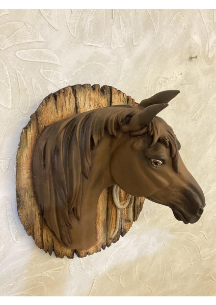 At Duvar Pano modelleri