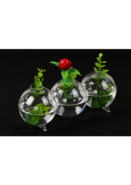 Üfleme Balon Model Tırtıl Cam Vazo