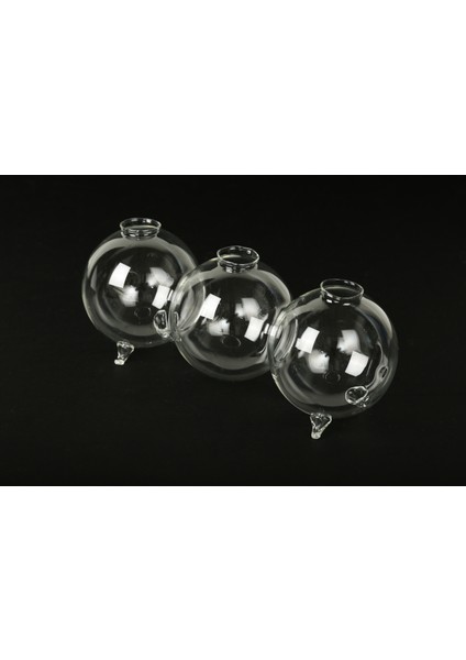 Üfleme Balon Model Tırtıl Cam Vazo