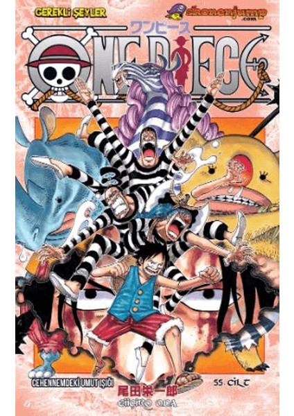 One Piece 55. Cilt