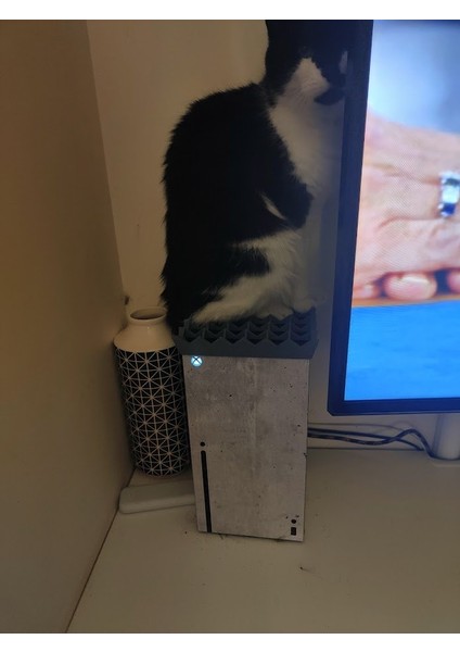BYR3D Xbox Series x Kedi Karşıtı T4912268
