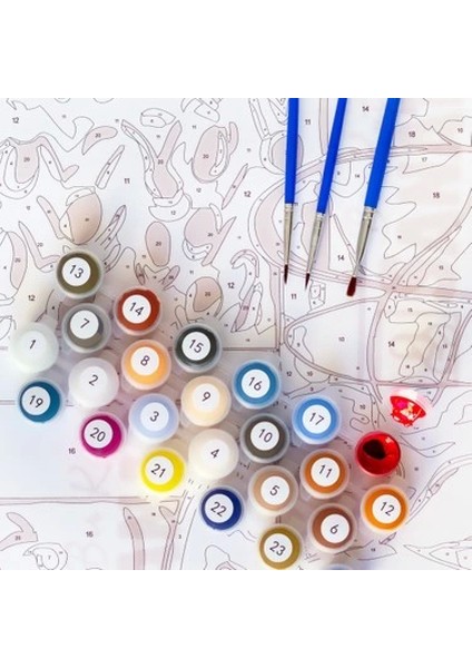 Marsilyan- Sayılarla Boyama Seti Extra Boya 24'lü